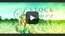 STOCK***** Resort