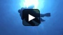 Orca Dive Club Safaga Ägypten